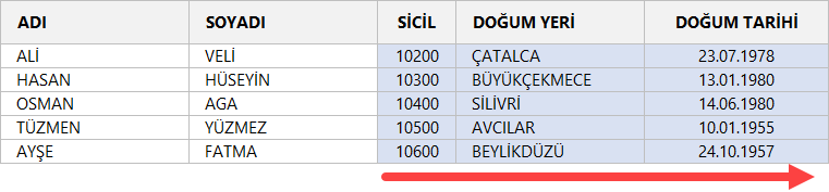Düşeyara fonksiyonu