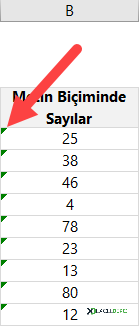 Metin Biçimi