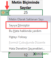 Metin Biçimindeki Sayılar