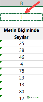 Metin Biçimindeki Sayılar