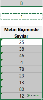 Metin Biçimi Seçim