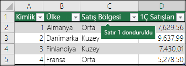 Üst Satırı Dondur’a tıkladığınızda ilk satır kilitlenir Üst Satırı Dondur’a tıkladığınızda ilk satır kilitlenir