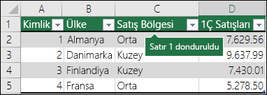 Üst Satırı Dondur’a tıkladığınızda ilk satır kilitlenir