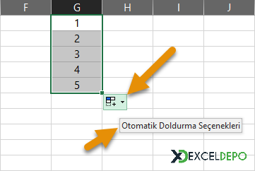 Otomatik Doldurma Seçenekleri