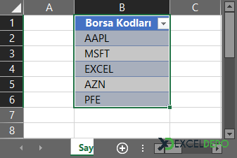 Excel Tablo Görünümü