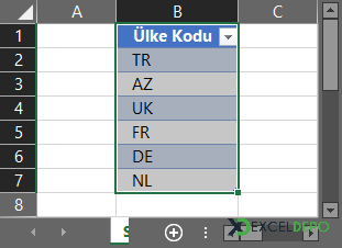 Ülke Kodları Tablo Yapısı