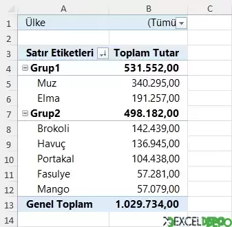 Gruplandırılmış Özet Tablo Verileri