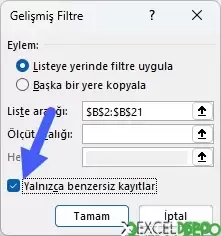 Gelişmiş Filtre