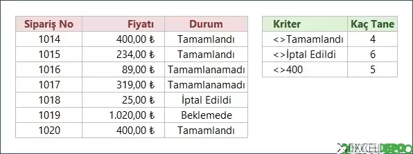 Bir Kritere Eşit Olmayanları Sayma