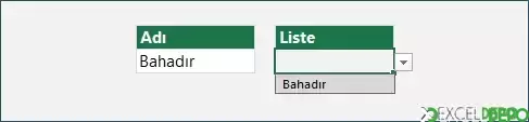 Açılan Listeye Otomatik Veri Alma