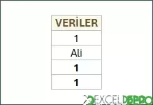 Formülleri Bold Yapma
