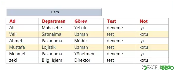 Birden Çok Sütuna Göre Koşullu Biçimlendirme