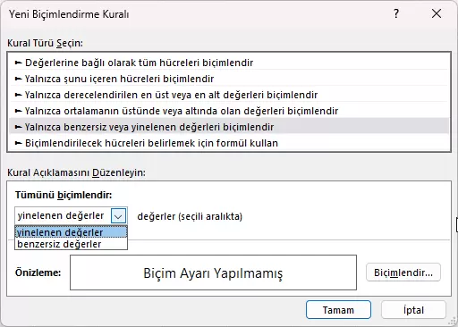 Yalnızca Benzersiz veya Yinelenen Değerleri Biçimlendir