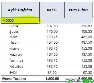 pivotTarih.webp