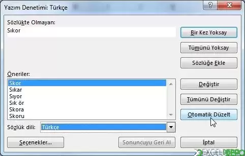 yd7.jpg