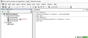 Sayfayı gizle göster kodu vba tarafı