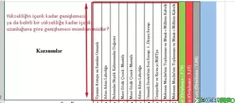 Excel Hücrenin Genişliğinin Otomatik Büyümesi