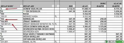 Mizan da hesap kodu gruplandırma