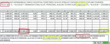 Metin İçinde Formül Kullanımında hata