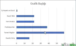 Çubuk Grafik