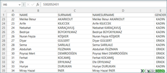 Excel Başlık Sabitleme