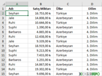 Excel Sıralama İşlemi