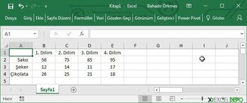 Çalışma Sayfalarını Birleştirme