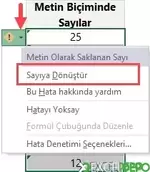 Metin Biçiminde Olan Sayılar