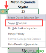 Metin Biçiminde Olan Sayılar