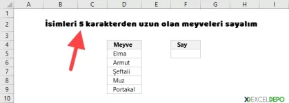 Excel Formüllerindeki Çift Tire İşaretleri