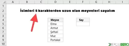 Excel Formüllerindeki Çift Tire İşaretleri