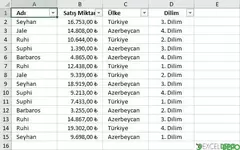 Sayı ve Metin Filtreleme