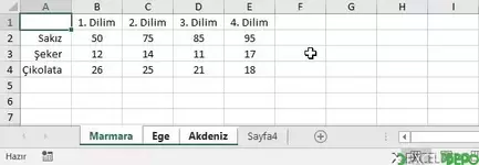 Çalışma Sayfalarını Gruplama