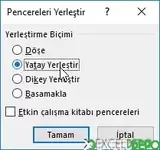 Birden Fazla Çalışma Kitabını Görüntüleme