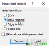 Birden Fazla Çalışma Kitabını Görüntüleme