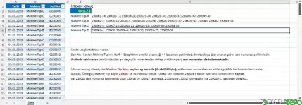 Seri Numaralarını Birleştirip Yazma