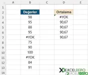 Hatalı Hücreler Yok Sayılarak Ortalama Alma