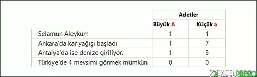 Büyük Küçük Harf Adetlerini Bulma