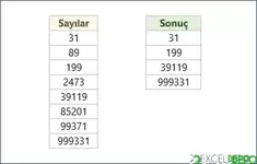 Kendisi ve Tersi Asal Olan Sayıları Listeleme