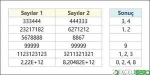 Tekrar Eden ve Birden Fazla Olan Sayıları Bulma