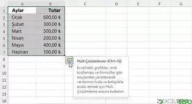 Hızlı Çözümleme Penceresini Açma