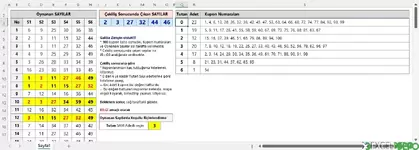 Loto Kuponlarının Sonuçlarını Değerlendirme