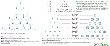 Pascal Üçgeni Oluşturma
