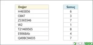 Hücredeki Sayı Karakterini Sayma