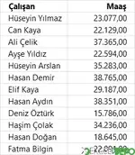 Programdan Aktarılan Verileri İstenen Biçimde Listeleme