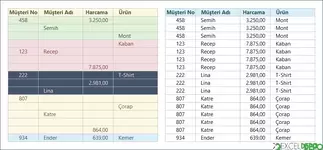 Müşterilerin Hatalı Kayıtlarını Düzeltme