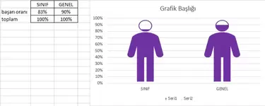 Grafik Değerinin Yüzde Sorununu Düzeltme