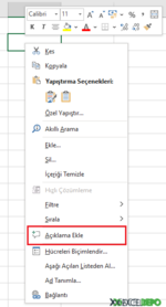 Hücreye Açıklama Ekleme ve Düzenleme