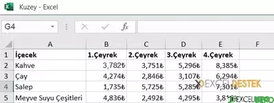 Dış Referanslar