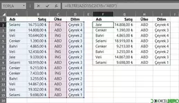 FİLTRE Fonksiyonu Kullanımı